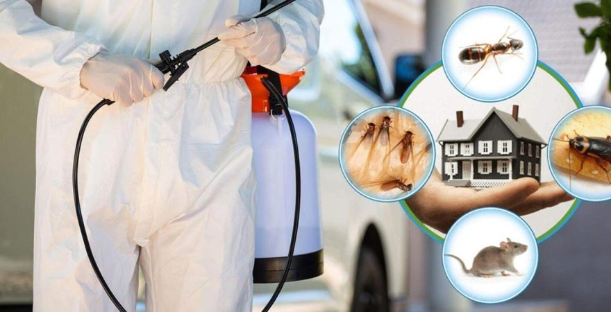 Artova Böcek İlaçlama