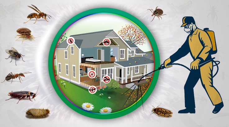 Artova Böcek İlaçlama