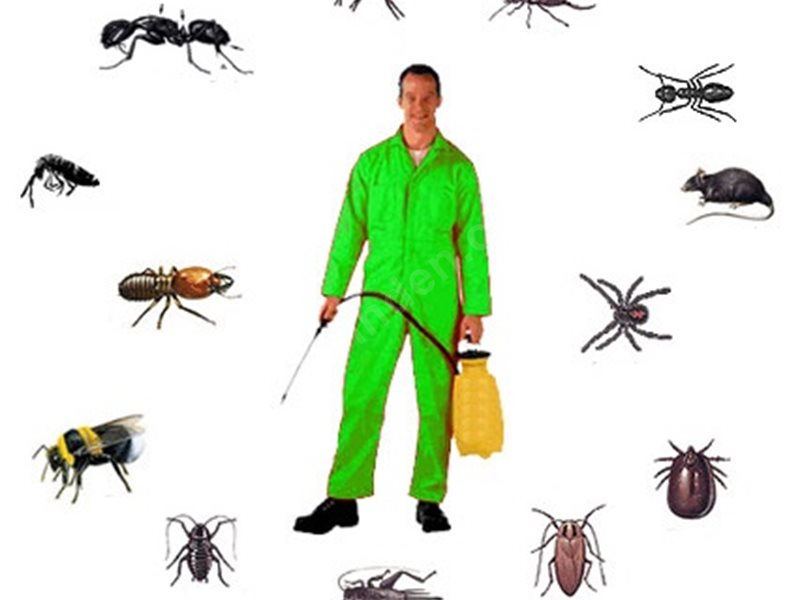 Artova Böcek İlaçlama